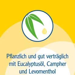 ® Erkältungsbad ab 12 Jahren - mit Eucalyptusöl, Menthol und Campher><noscript><img width=
