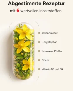 ® Stimmungsaufheller Johanniskraut Kapseln mit L-Tryptophan GABA & B5 - Stimmungszauber|plantomol Hot