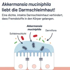 ProBio-Cult AKK1 Darm-Mukosa Pro mit 30 Mrd. pasteurisierten Akkermansia MucT®><noscript><img width=
