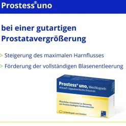 Prostess® uno><noscript><img data-lazyloaded=