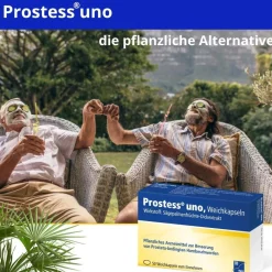 Prostess® uno><noscript><img data-lazyloaded=