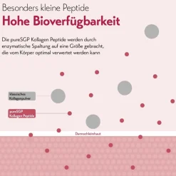 pureSGP Kollagen Peptide| Clearance