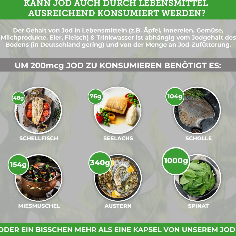 Bio Jod aus der Kelpalge|QIDOSHA Hot