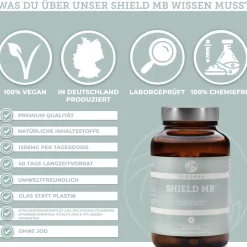 MB SHIELD><noscript><img width=