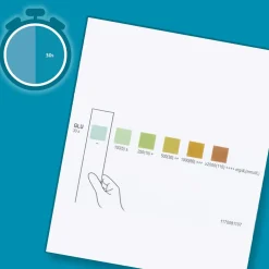 Reactif Diabetes Test - Urin Teststreifen für Glukose><noscript><img width=