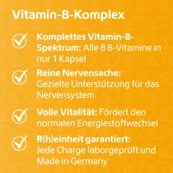 Vitamin-B-Komplex|R(h)ein Nutrition Online