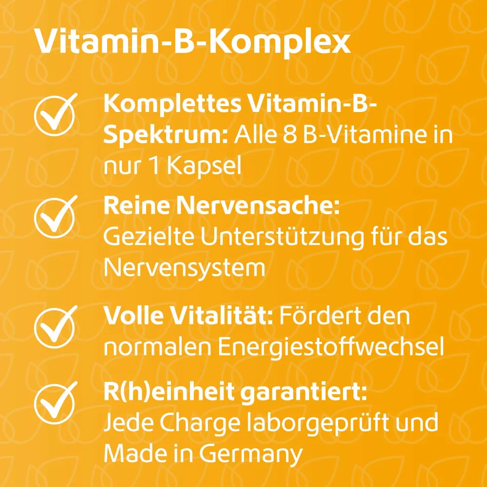 Vitamin-B-Komplex|R(h)ein Nutrition Online