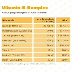 Vitamin-B-Komplex|R(h)ein Nutrition Online
