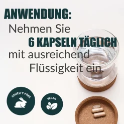® HelloMami | Tabletten für Frauen mit Kinderwunsch|SAINT NUTRITION New