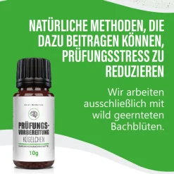 ® Prüfungsvorbereitung Kügelchen | in Phasen von Prüfungsstress><noscript><img width=