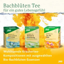 ® Bachblüten-Tee Für alle Fälle><noscript><img width=