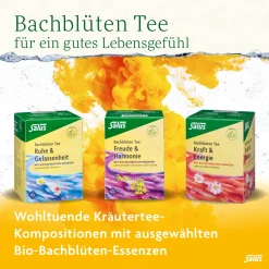 ® Bachblüten Tee Klarheit & Zentrierung><noscript><img width=