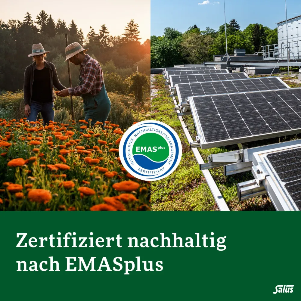 ® Floradix® Eisen für Kinder|Salus New