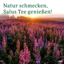 ® Griechischer Bergtee|Salus Hot