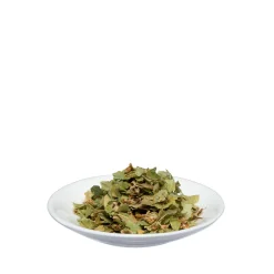 ® Lindenblüten Arzneitee|Salus New