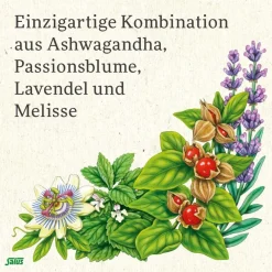 ® Neuro Balance Ashwagandha Kapseln|Salus Clearance