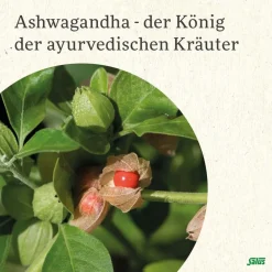 ® Neuro Balance Ashwagandha Kapseln|Salus Clearance