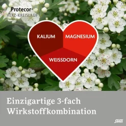 ® Protecor® Herz-Kreislauf Tabletten zur Funktionsunterstützung>Salus New