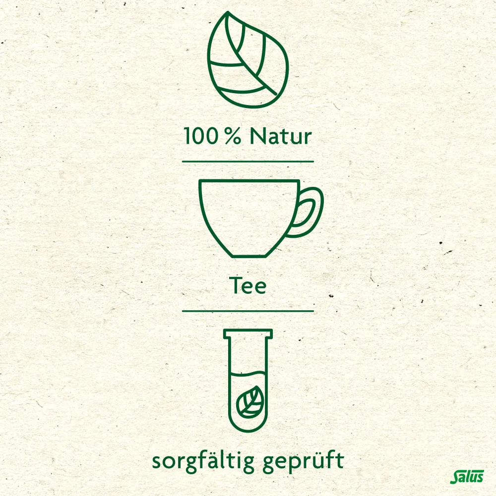 ® Verdauungs-Tee Nr. 18>Salus Hot