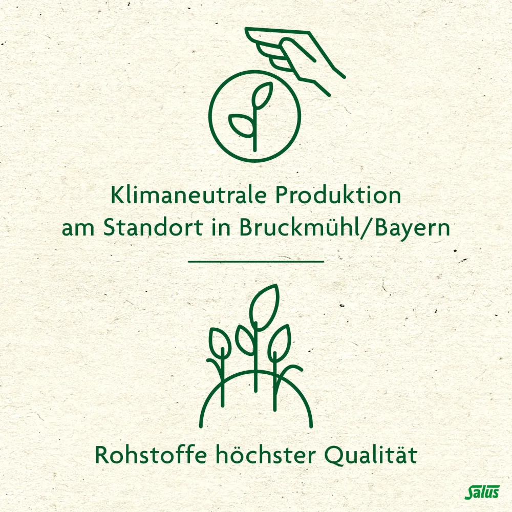 ® Verdauungs-Tee Nr. 18>Salus Hot