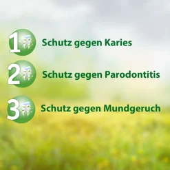 F Madaus - Medizinische Zahnpasta mit Fluorid><noscript><img width=