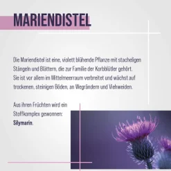 Mariendistel-Kapseln|Sanct Bernhard New