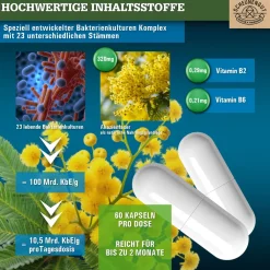 ® FLORA INTENSO | Probiotika mit 23 Bakterienstämmen | Darmkur mit Vitamin B2 & B6>SCHEUNENGUT Sale
