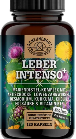 ® LEBER INTENSO+ | Extra starker Leber Komplex mit Cholin | für Stoffwechsel & Leber 🌿|SCHEUNENGUT Discount