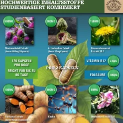 ® LEBER INTENSO+ | Extra starker Leber Komplex mit Cholin | für Stoffwechsel & Leber 🌿|SCHEUNENGUT Discount