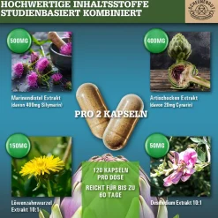 ® LEBER INTENSO | Hochdosierte Leber Kapseln 100% natürlich>SCHEUNENGUT New
