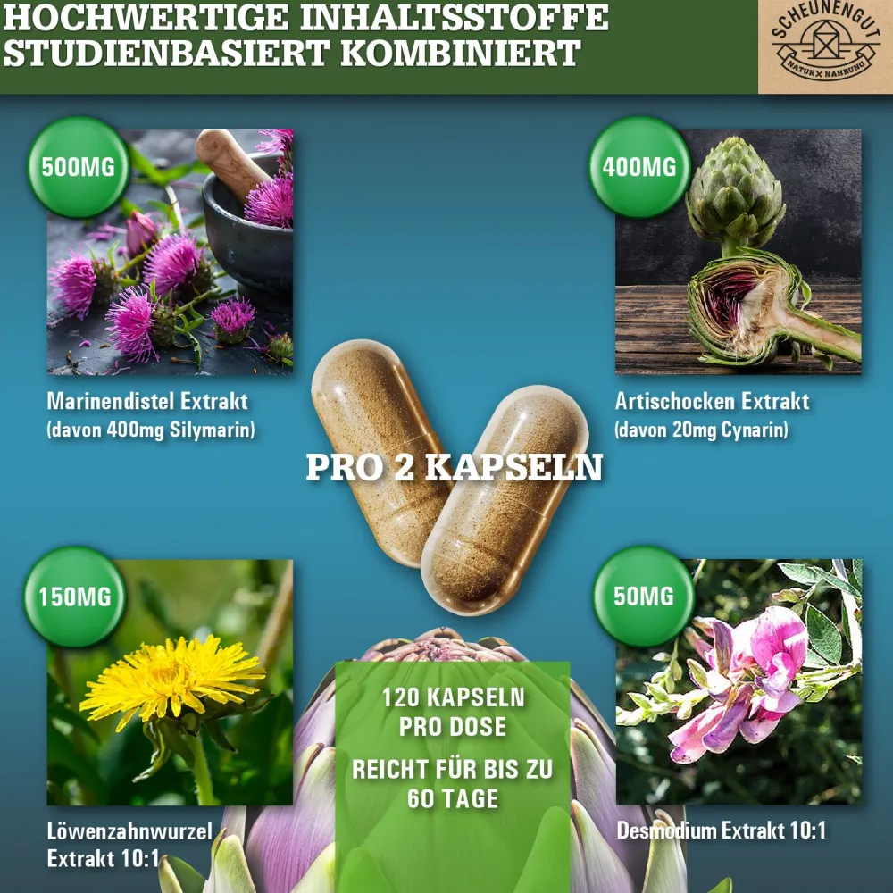 ® LEBER INTENSO | Hochdosierte Leber Kapseln 100% natürlich>SCHEUNENGUT New