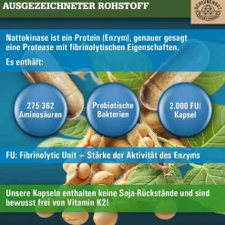 ® Nattokinase 20.000 FU/g | pflanzliche Fermentation, 100% rein & vegan><noscript><img width=