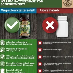 ® Nattokinase 20.000 FU/g | pflanzliche Fermentation, 100% rein & vegan><noscript><img width=