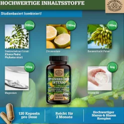 ® Steinbrecher Intenso | Die Original Nierenstein-Formel aus der TCM | Chanca Piedra|SCHEUNENGUT Best