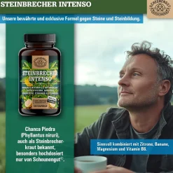 ® Steinbrecher Intenso | Die Original Nierenstein-Formel aus der TCM | Chanca Piedra|SCHEUNENGUT Best