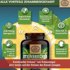 ® Steinbrecher Intenso | Die Original Nierenstein-Formel aus der TCM | Chanca Piedra|SCHEUNENGUT Best