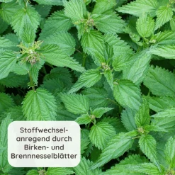 Schlosskräuter Stoffwechseltee mit Brennnessel | Brennnesseltee 100% Natürlich><noscript><img width=