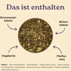 Schlosskräuter Stoffwechseltee mit Brennnessel | Brennnesseltee 100% Natürlich><noscript><img width=