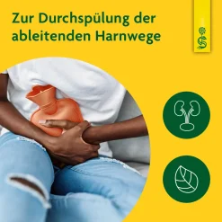 ® Heilpflanzensaft Zinnkraut|Schoenenberger Discount