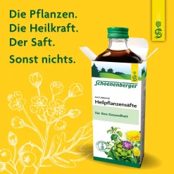 ® Heilpflanzensaft Thymian><noscript><img width=