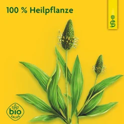 ® Heilpflanzensaft Spitzwegerich><noscript><img width=