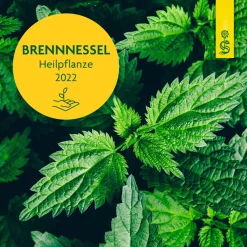 ® naturreiner Heilpflanzensaft Brennnessel><noscript><img width=