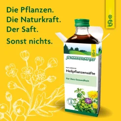 ® naturreiner Pflanzensaft Bärlauch|Schoenenberger Hot