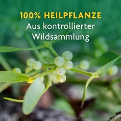 ® naturreiner Heilpflanzensaft Mistel|Schoenenberger Hot