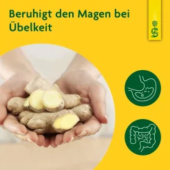 ® naturreiner Pflanzentrunk Ingwer|Schoenenberger