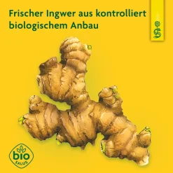 ® naturreiner Pflanzentrunk Ingwer|Schoenenberger