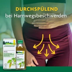 ® naturreiner Heilpflanzensaft Birke><noscript><img width=