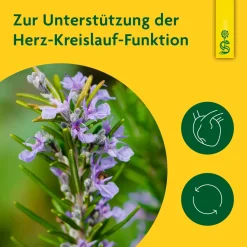 ® Rosmarin|Schoenenberger Online