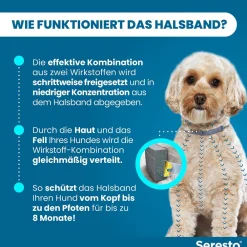 Halsband für kleine Hunde bis 8 kg gegen Zecken und Flöhe, wirkt abtötend und repellierend bis zu 8 Monate|Seresto Discount