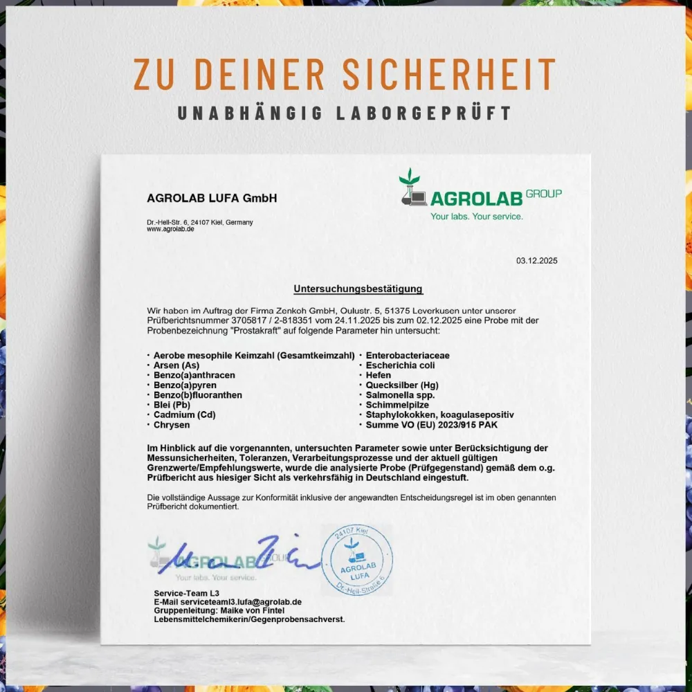 Sägepalmen-Komplex mit Kürbis, Traubenkern, Brennnessel & Vitamin E - PROSTAKRAFT - ®|NATURTREU Clearance